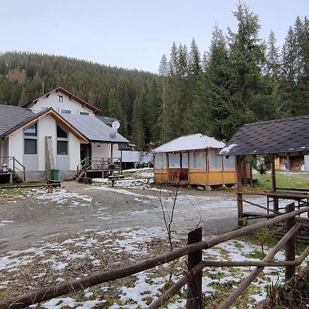 וויניאסה Complex Transalpina Lac מראה חיצוני תמונה