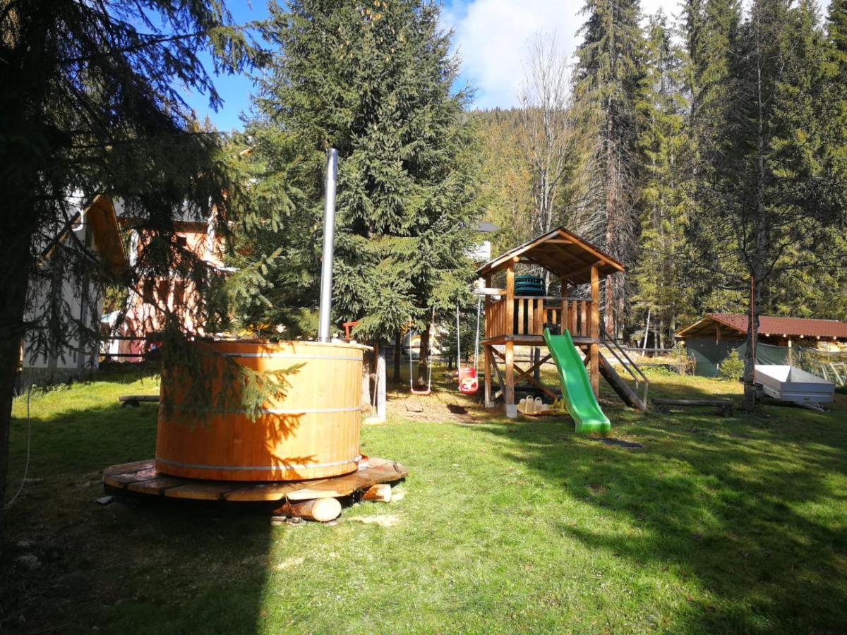 וויניאסה Complex Transalpina Lac מראה חיצוני תמונה