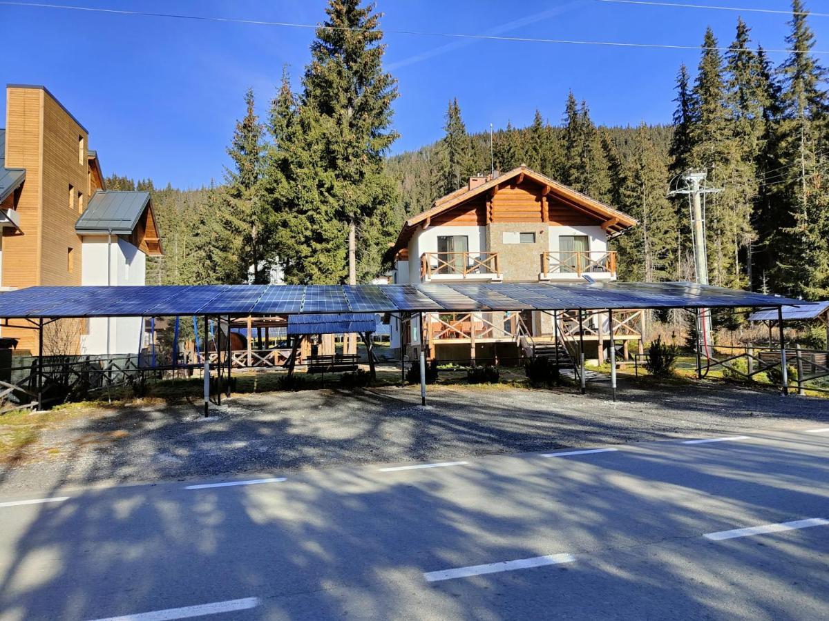 וויניאסה Complex Transalpina Lac מראה חיצוני תמונה