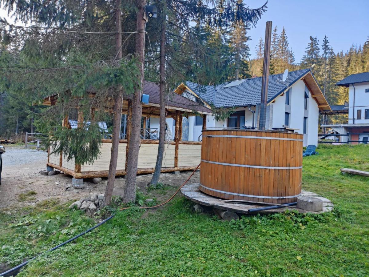 וויניאסה Complex Transalpina Lac מראה חיצוני תמונה