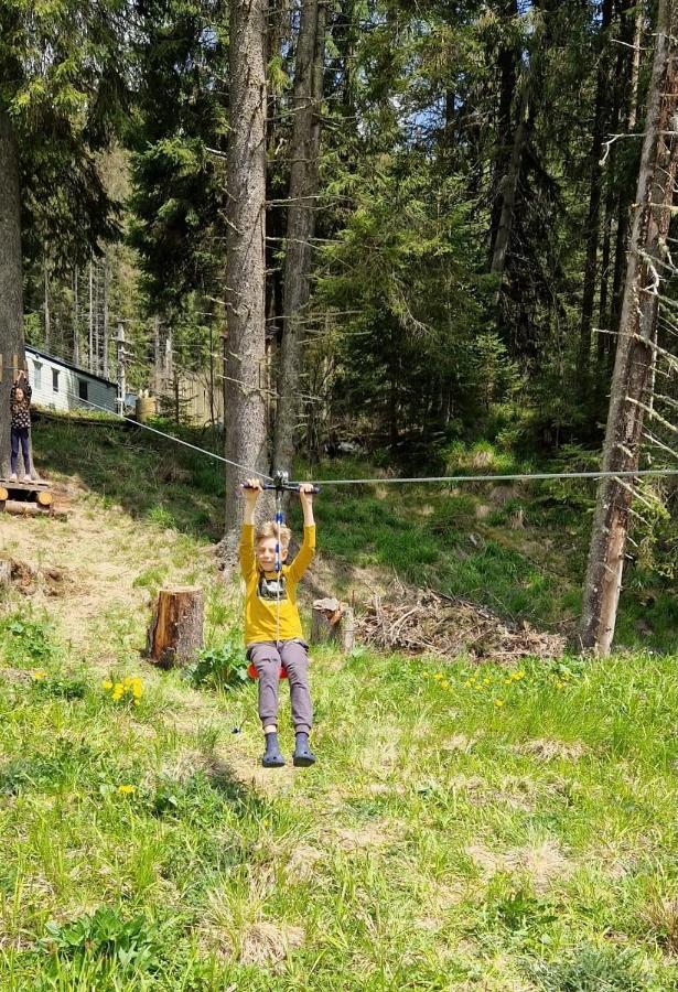 וויניאסה Complex Transalpina Lac מראה חיצוני תמונה