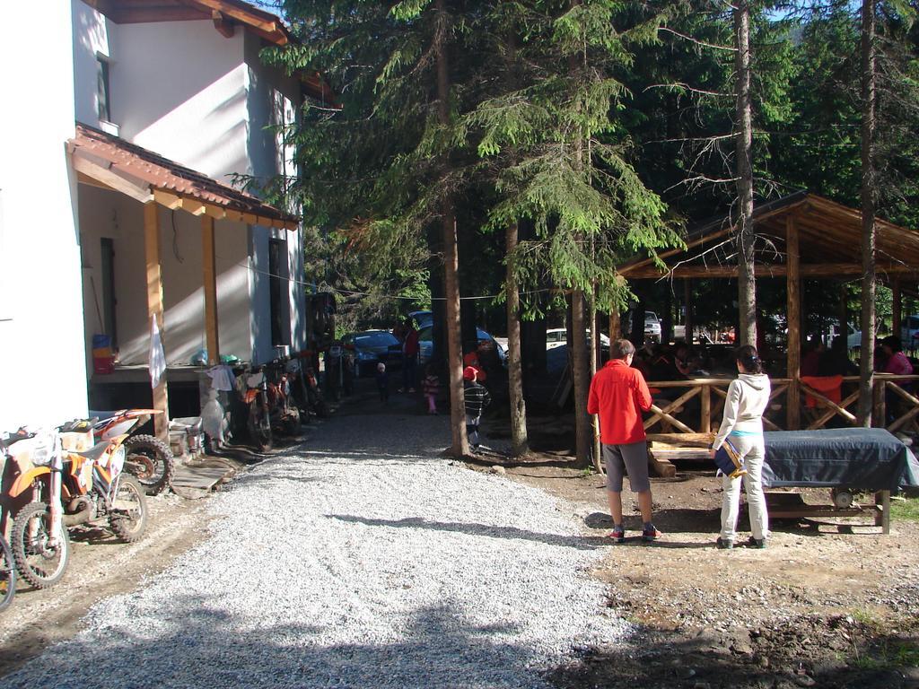 וויניאסה Complex Transalpina Lac מראה חיצוני תמונה