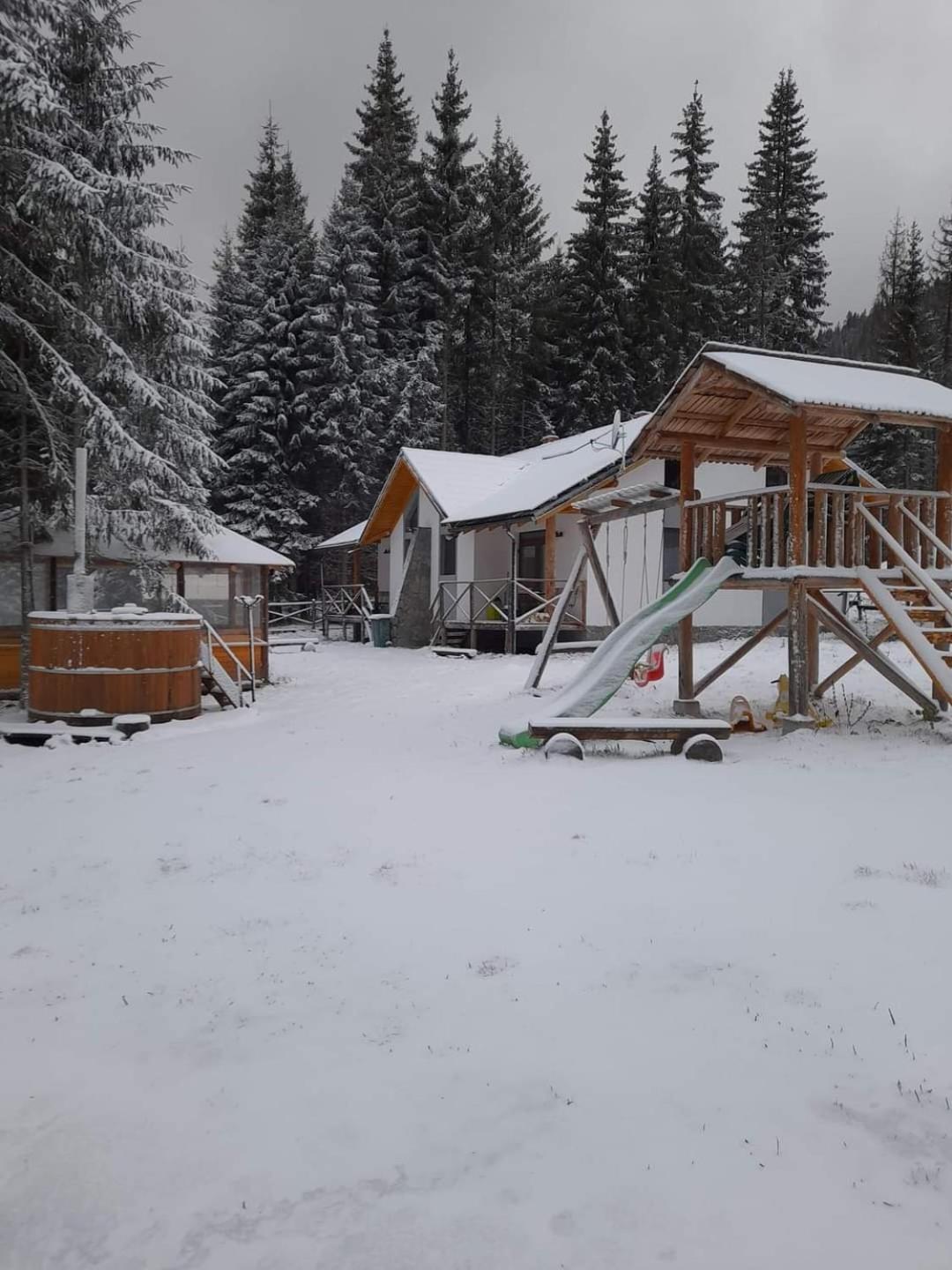 וויניאסה Complex Transalpina Lac מראה חיצוני תמונה