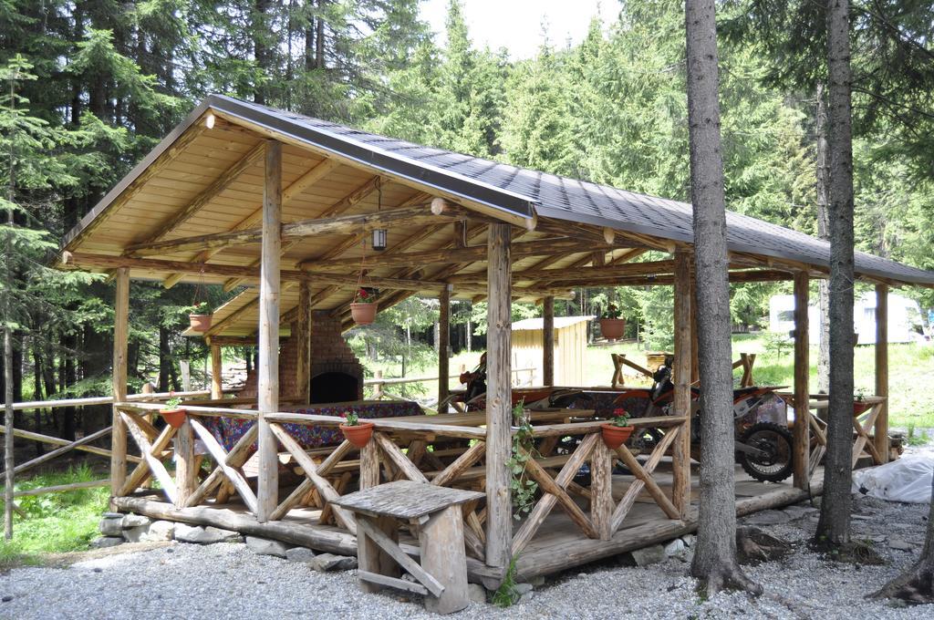וויניאסה Complex Transalpina Lac מראה חיצוני תמונה