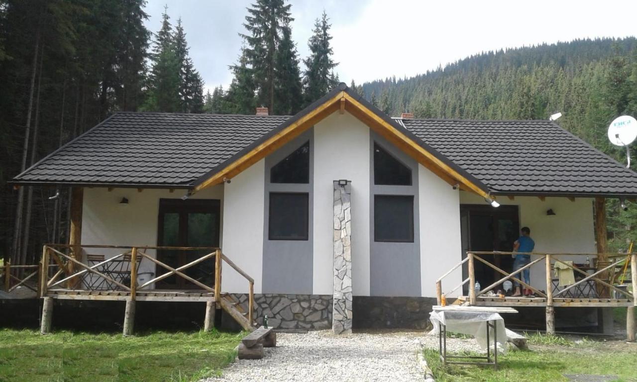וויניאסה Complex Transalpina Lac מראה חיצוני תמונה