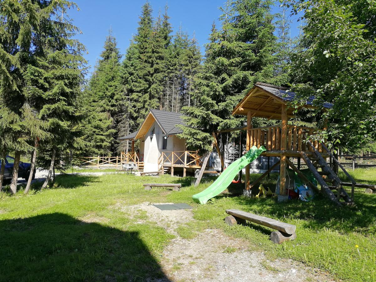 וויניאסה Complex Transalpina Lac מראה חיצוני תמונה