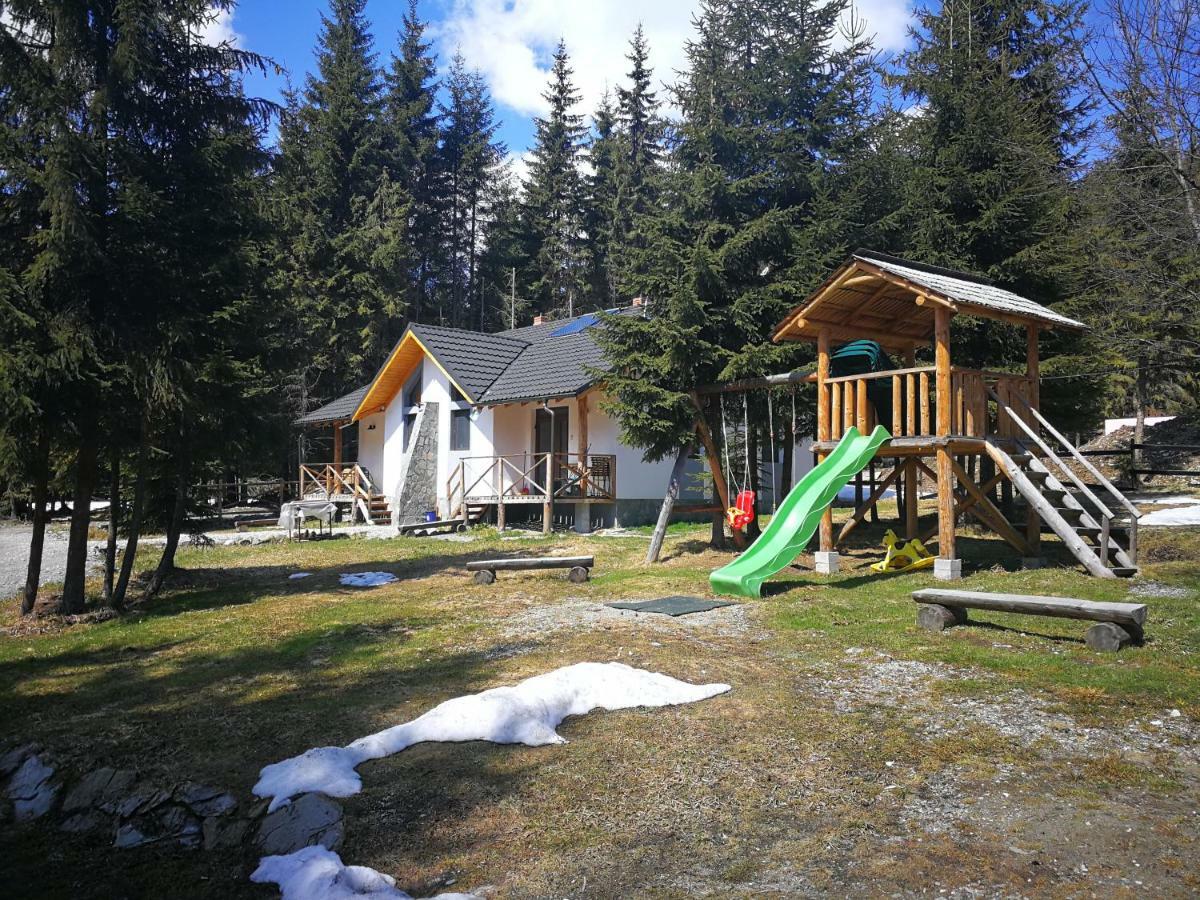 וויניאסה Complex Transalpina Lac מראה חיצוני תמונה
